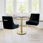 Tufted Velvet Upholstered Accent Dining Chairs Side Chairs (Set of 2)