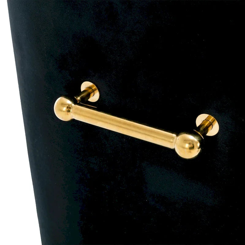 Tufted Velvet Upholstered Accent Dining Chairs Side Chairs (Set of 2)